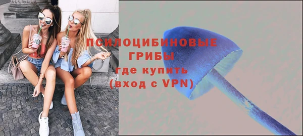 синтетический гашиш Алексин