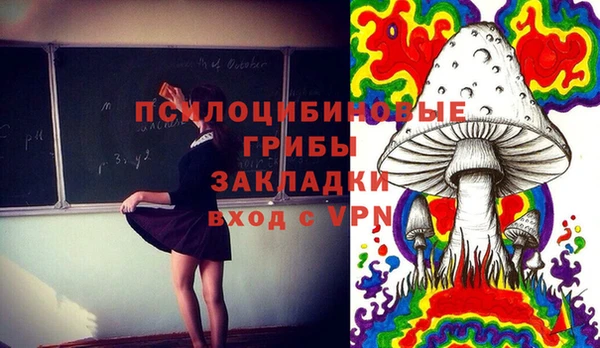 прущие крисы Алзамай