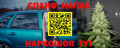 ГАЛЛЮЦИНОГЕННЫЕ ГРИБЫ Нальчик