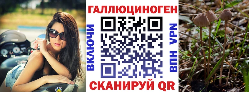 Псилоцибиновые грибы MAGIC MUSHROOMS  купить  сайты  ОМГ ОМГ ONION  Североуральск 