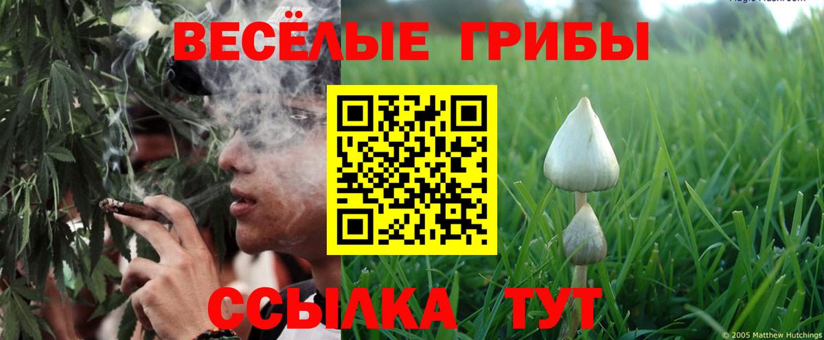 Североуральск  Псилоцибиновые грибы мухоморы  Вход с VPN 